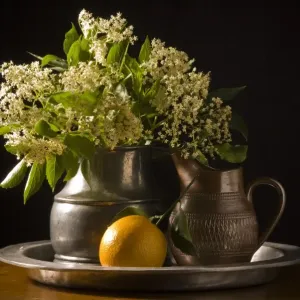 Elderflowers and Orange Print on Pewter Charger