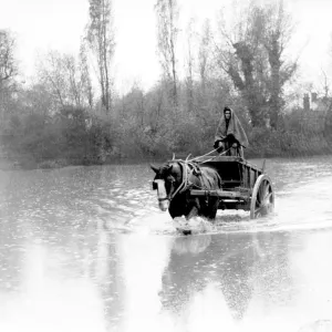 A farm labourer in Orpington Kent 1935 driving his horse and cart into the water