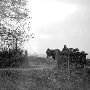 Farm scene Print, 1934