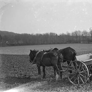 Farm worker sowing oats with a horse drawn seed drill in Shoreham, Kent. 1937