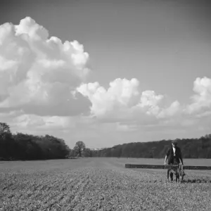 A farmer boadcasting clovers on a field in North Cray, Kent. 1939
