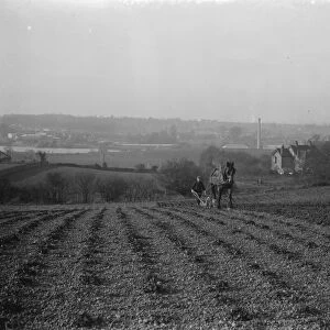 A farmer and his horse plough a stony field. suburban or urban meets rural