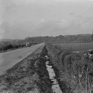 Farmers trim hedges by hand in Beltring, Kent. 1936