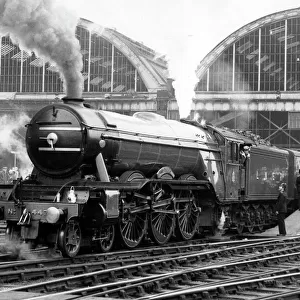 Collections: The Flying Scotsman