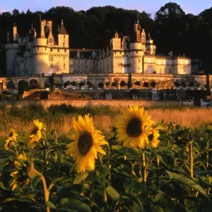 France - Loire Valley - Chateau at Usse France - Loire Valley - Chateau at Usse