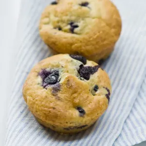 Freshly baked blueberry muffin on blue striped napkin. credit: Marie-Louise Avery