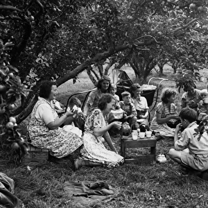 Fruit pickers at tea time during their spell of apple picking in the orchards at