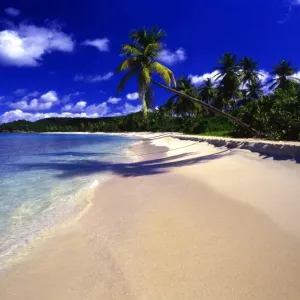 Galley Bay Print - Antigua Landscape Galley Bay Print - Antigua Landscape
