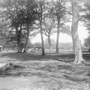 Gypsy Encampment in New Forest Print Gypsy Encampment in New Forest Print