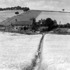 Print of Two Girls Walking in a Barley Field, Kent, England