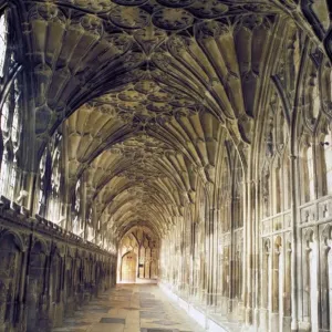Gloucester Cathedral Cloister Wall Print Gloucester Cathedral Cloister Wall Print