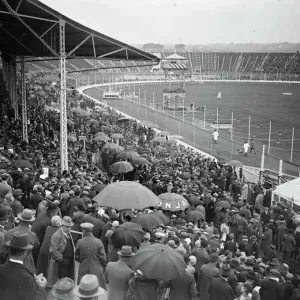 Réunion de courses de greyhound à la White City. Une partie de la foule regarde le défilé. Réunion de courses de greyhound à la White City. Une partie de la foule regarde le défilé.