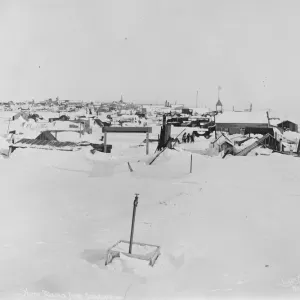 In the grip of disease. A thrilling race against death has started at Nenana In the grip of disease. A thrilling race against death has started at Nenana