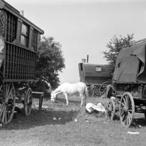 Gypsy caravans parked on Epsom Downs during the Epsom Races. Late 1940s, early 1950s