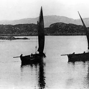 Herring boats Tarbert Fish where the fish are