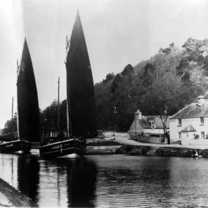 Herring Boats at Tarbert Fish Print