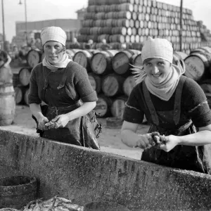 Herring Fishery Print: Fisher Girls Gutting Herring at Great Yarmouth