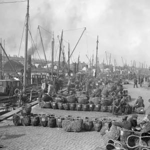 Herring Fishery Print at Great Yarmouth Quayside, 1923