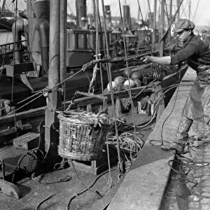 Herring Fishery at Great Yarmouth, Norfolk, England The quayside with the steam
