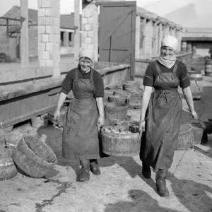 Herring Fishery at Great Yarmouth, Norfolk, England