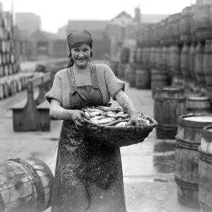 Herring Fishery at Great Yarmouth, Norfolk, England