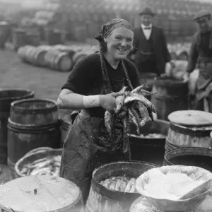 Herring Harvest Print, 1920s
