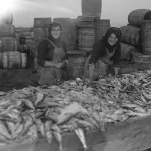 Herring harvest at Lowestoft Scotch fisher girls gutting and packing the fish