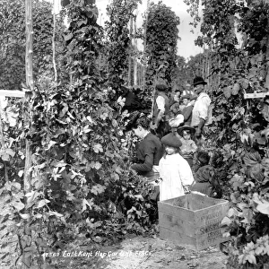 Hop pickers c 1901 Kent