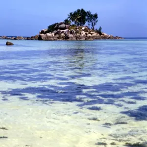 21 Mar 2005