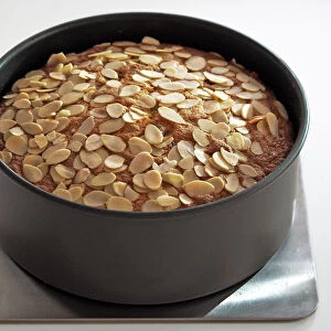 Light fruit cake topped with almonds in tin credit: Marie-Louise Avery / thePictureKitchen