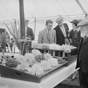The Longfield Flower Show, Kent. 1938