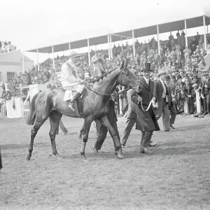 Le cheval de Lord Astor remporte l'Oaks. En tête dans le vainqueur. 7 juin 1929 Le cheval de Lord Astor remporte l'Oaks. En tête dans le vainqueur. 7 juin 1929