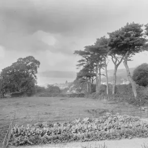 Lyme Regis. 1925 Lyme Regis. 1925