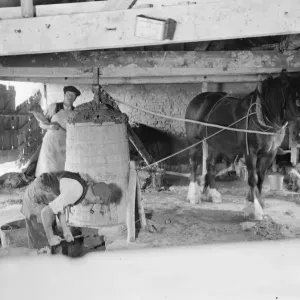 Making clay bricks powered by horses, Eyhorne Street, Hollingbourne, Kent