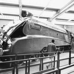 The Mallard Train Print