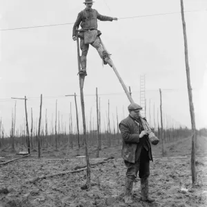A man uses stilts for the stringing of the hop poles. 1937 A man uses stilts for the stringing of the hop poles. 1937