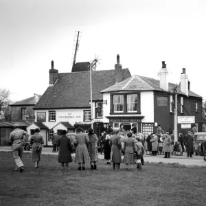 They met on the cricket green outside the Cricketers Inn Meopham, Kent - but horses