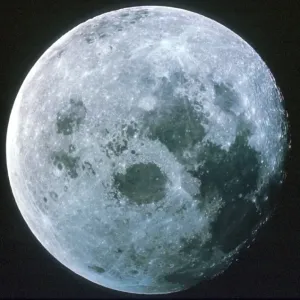 The Moon Print (Happy Halloween) The Moon Print (Happy Halloween)