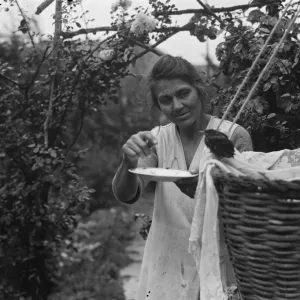 Mrs White and a friendly thrush. 1936 Mrs White and a friendly thrush. 1936
