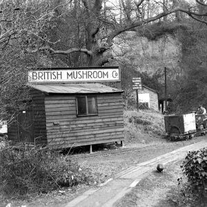 Mushroom caves at Chislehurst, Kent. 1934