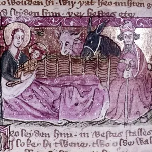 The Nativity The Nativity