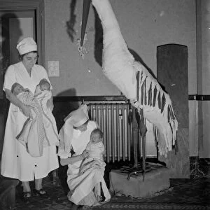 New babies from the maternity ward encounter a model stork at the Russell Stoneham