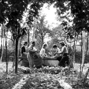Hop Pickers on a Kent Farm Print Hop Pickers on a Kent Farm Print