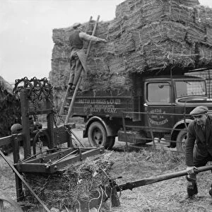 Pattullo Higgs and Co Ltd workers use a press to make hay bales. They then load