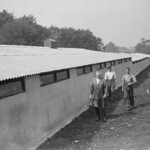 Pig barn, Foots Cray, Kent. 1935 Pig barn, Foots Cray, Kent. 1935