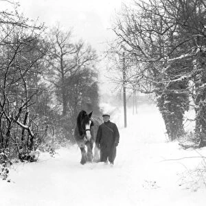 Ploughman and his horse Wrotham Kent 1947