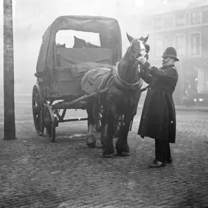 Policemen inspect a horse. (PC Dent) 1933