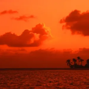 Polynesia. Averami island Polynesia. Averami island