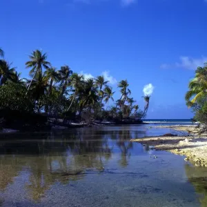Polynesia Island on Rangiroa atoll Polynesia Island on Rangiroa atoll