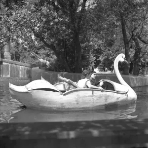 Print of Swan Boats in Lisbon's River Print of Swan Boats in Lisbon's River